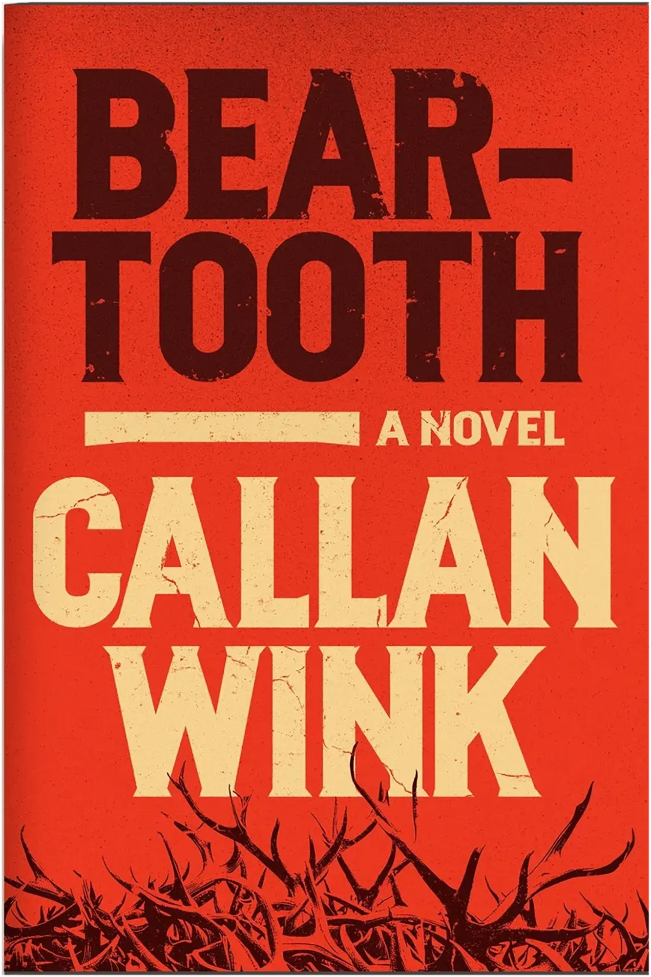 Beartooth by Callan Wink