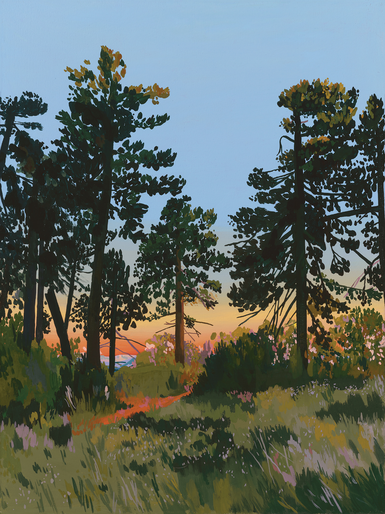 nlightenment Ridge West,