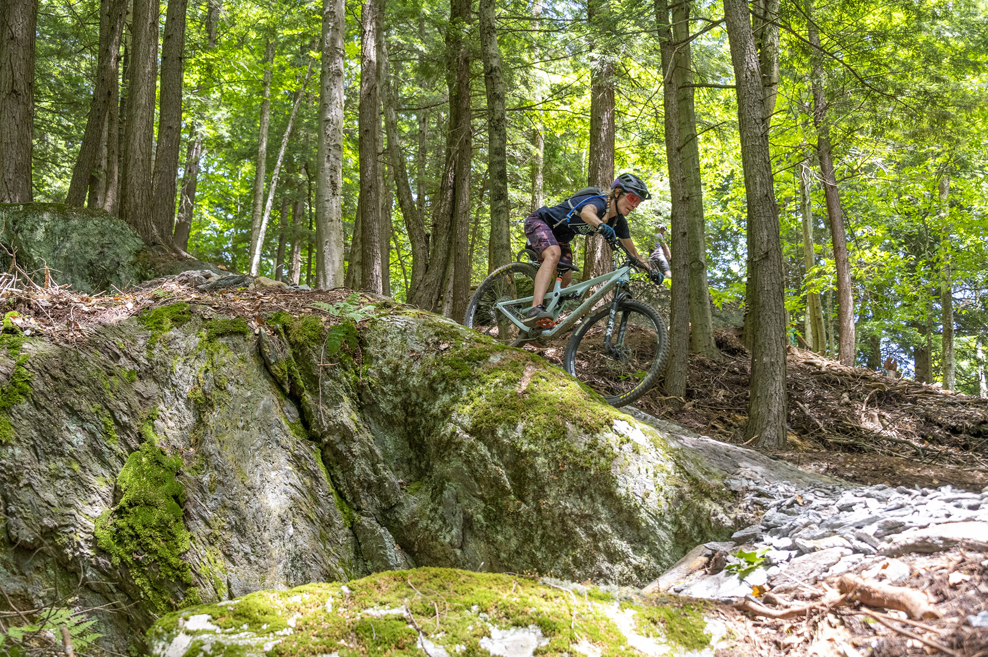 Mountain biker descending a mossy rock slab through the forest