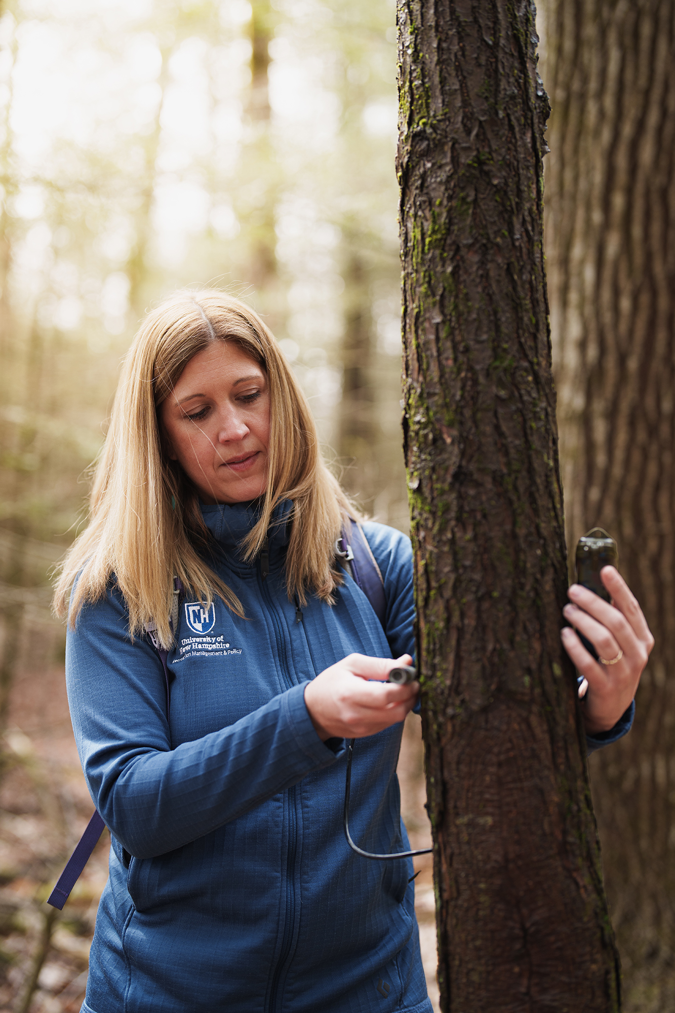 Two researchers mounting a sensor on a tree trunk in Saguaro National Park desert scrub