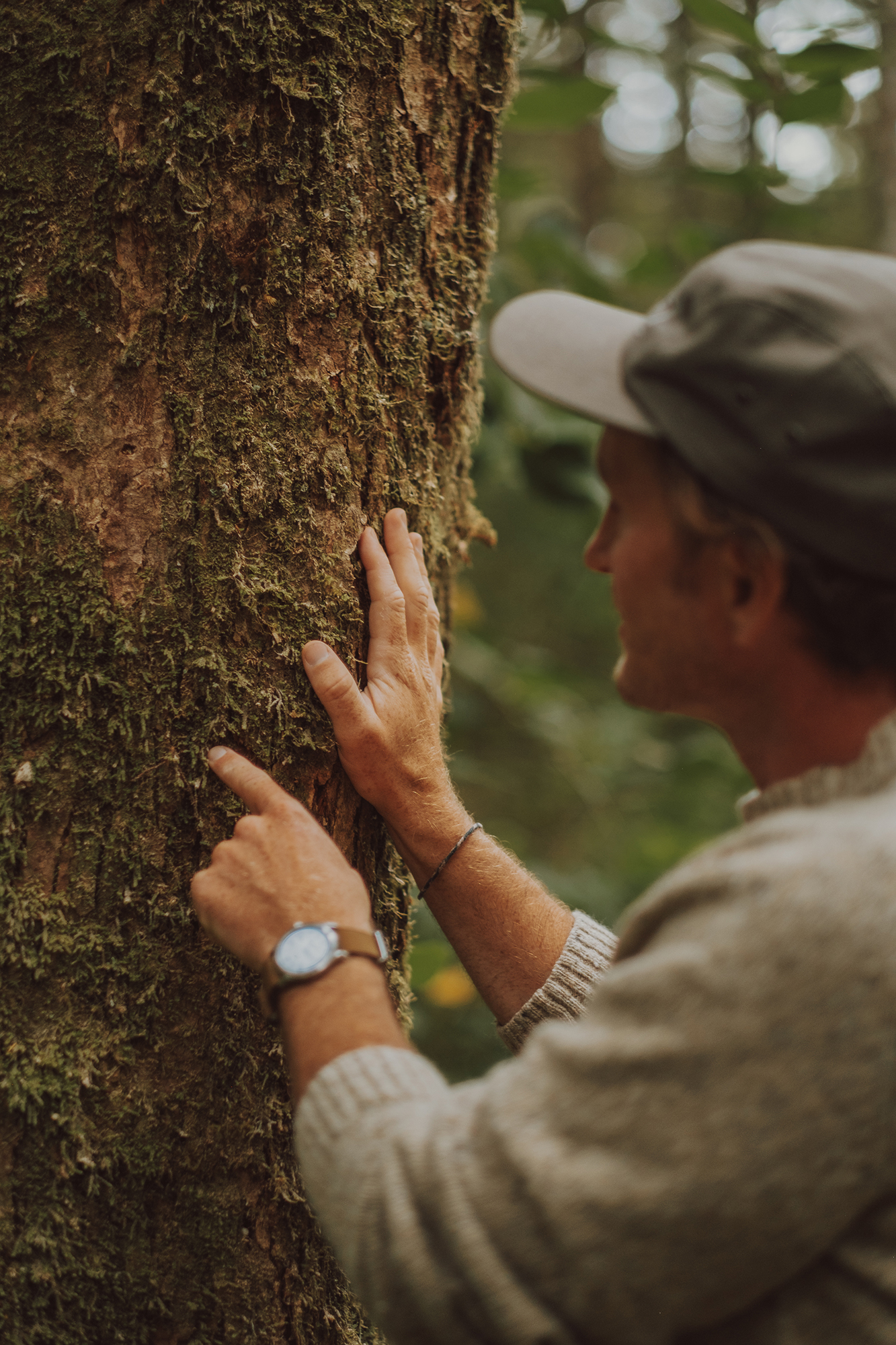 Ross Reid's hands pressed against the mossy bark of a large tree in coastal rainforest