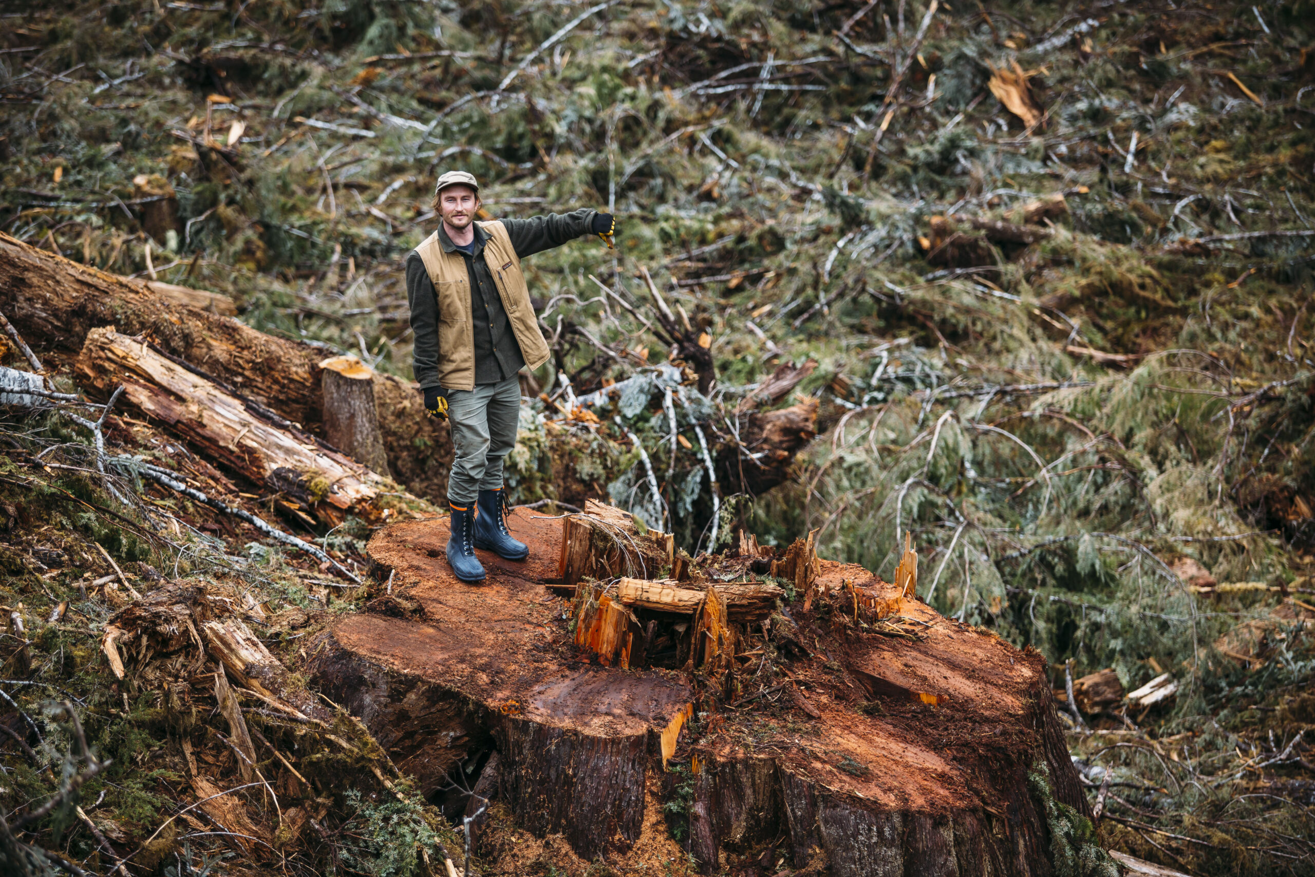 Ross Reid standing atop a massive clear-cut redwood stump, pointing into devastated forest behind him