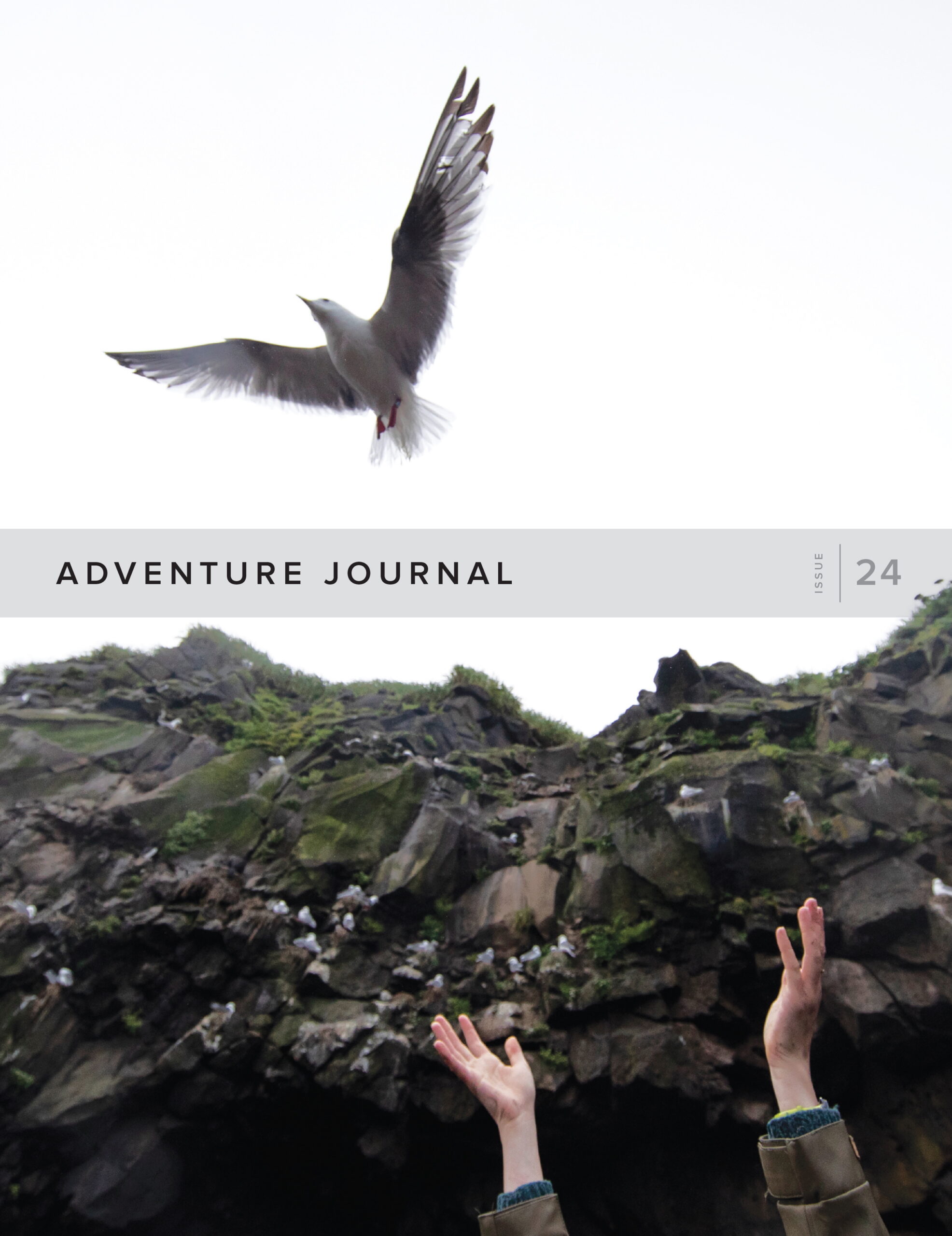 Adventure Journal 24