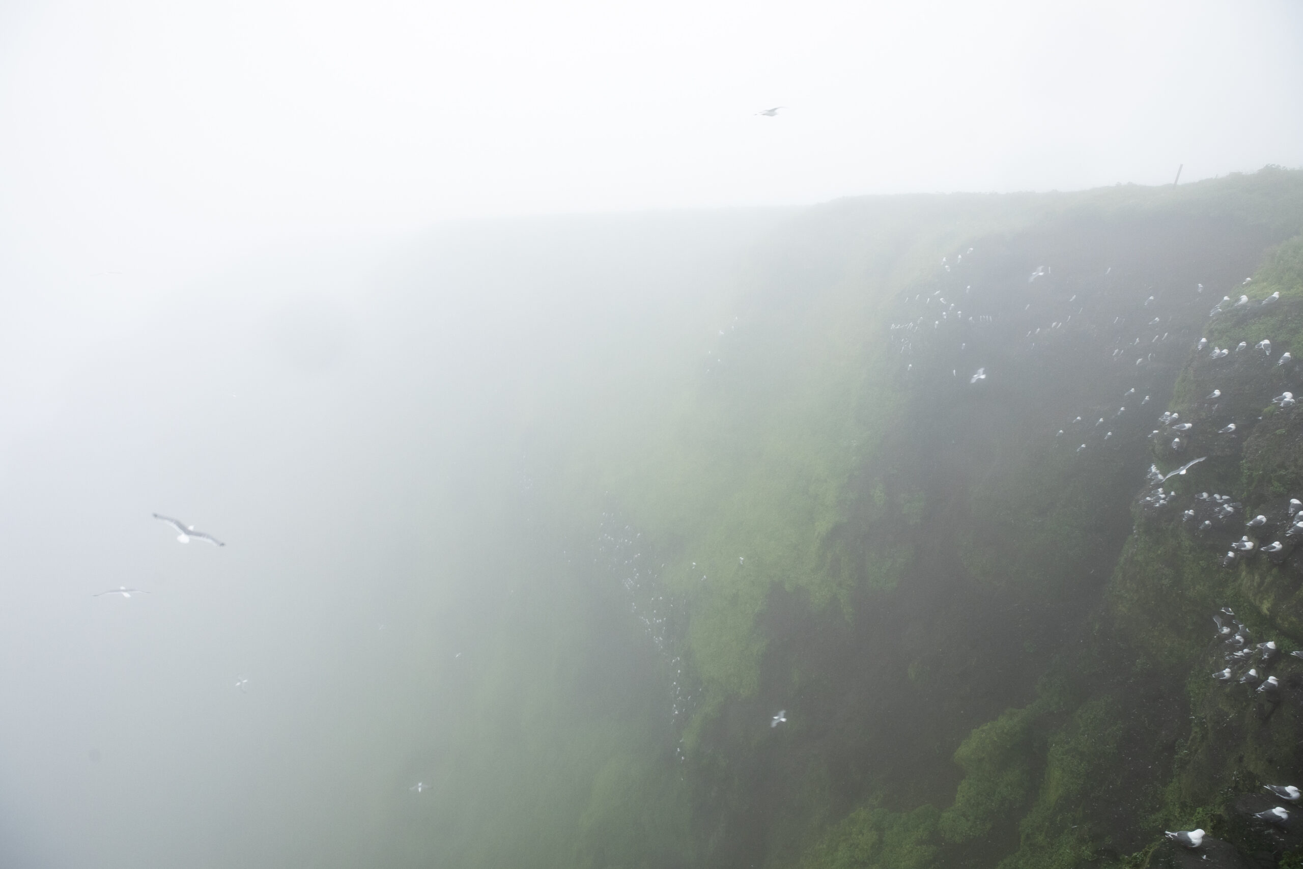 Grounded By Fog