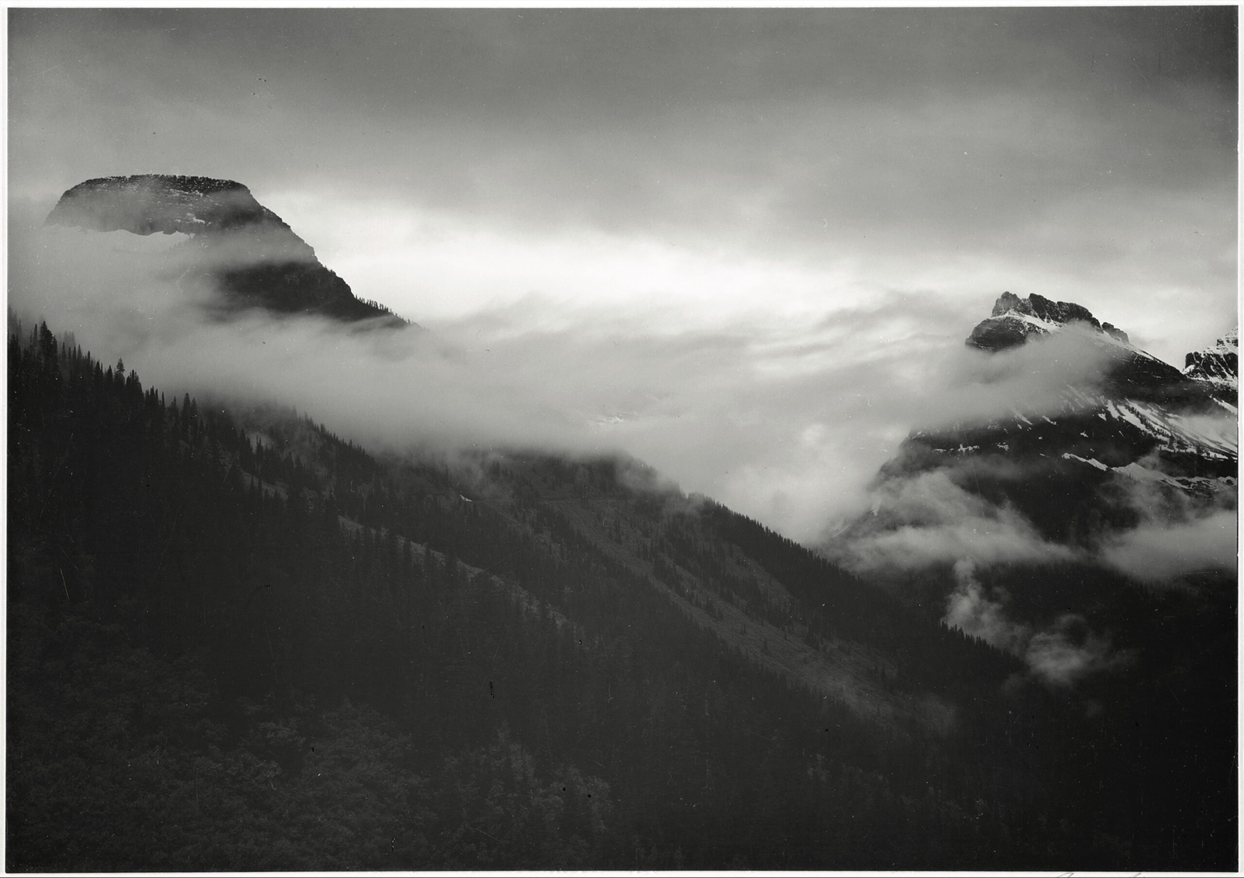 In Wilderness Is the Preservation of the World—Right? Maybe?