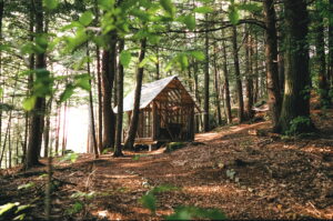 Tanglebloom Cabin
