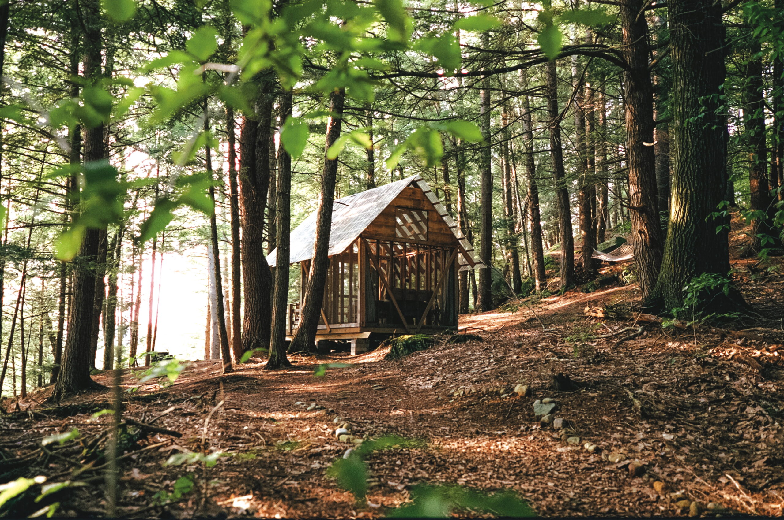 Tanglebloom Cabin