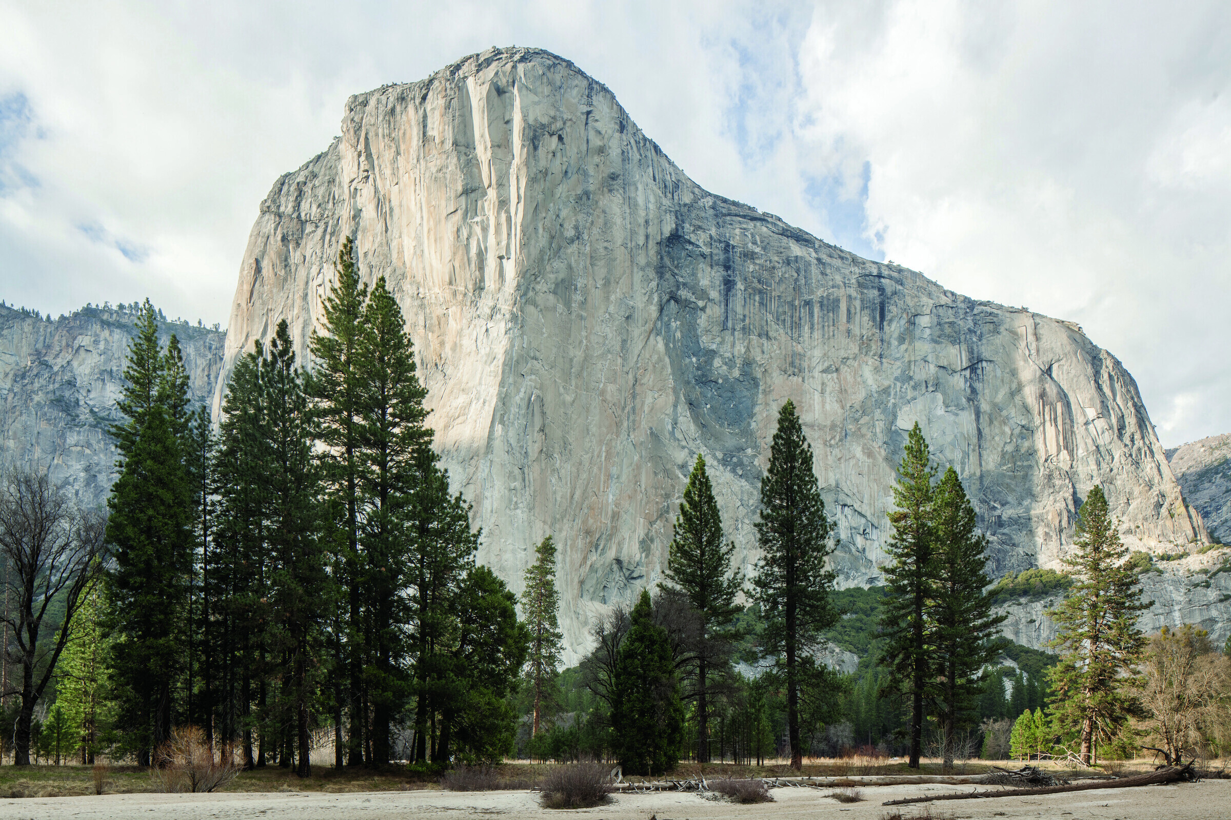 El Capitan rising above Yosemite Valley, with the base of the wall visible below