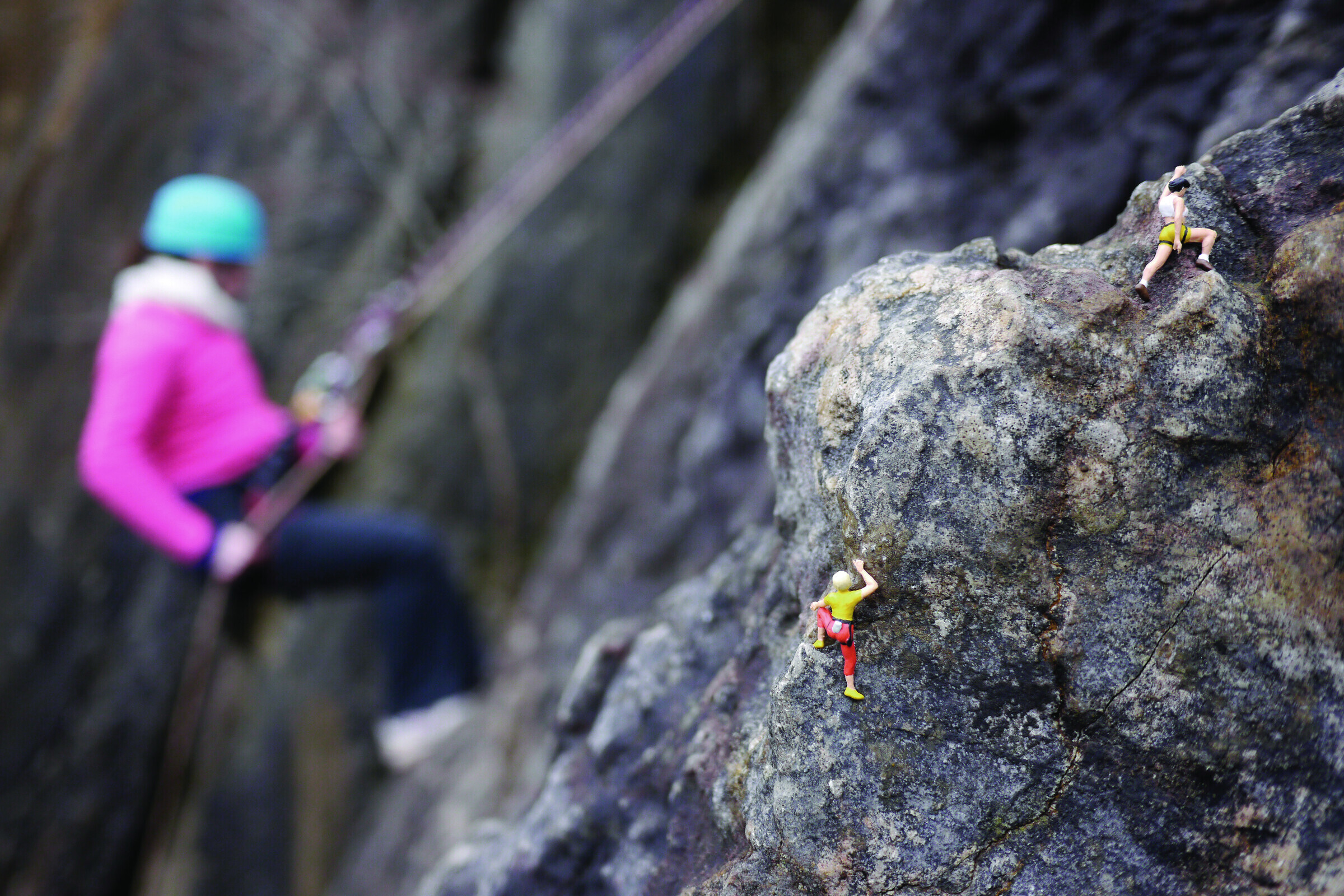 The Climbing Mind