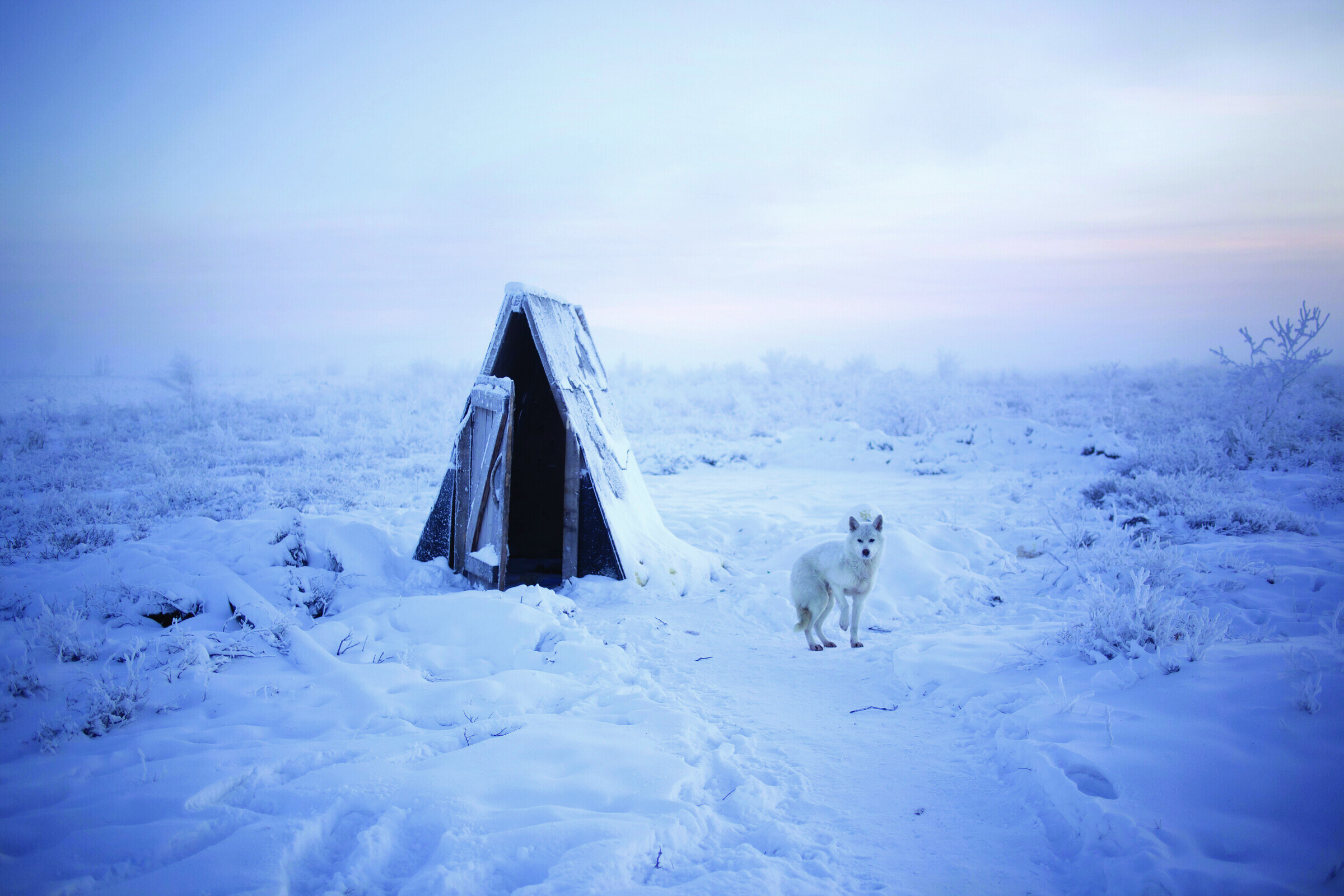 Outhouse in Oymyakon, Siberia