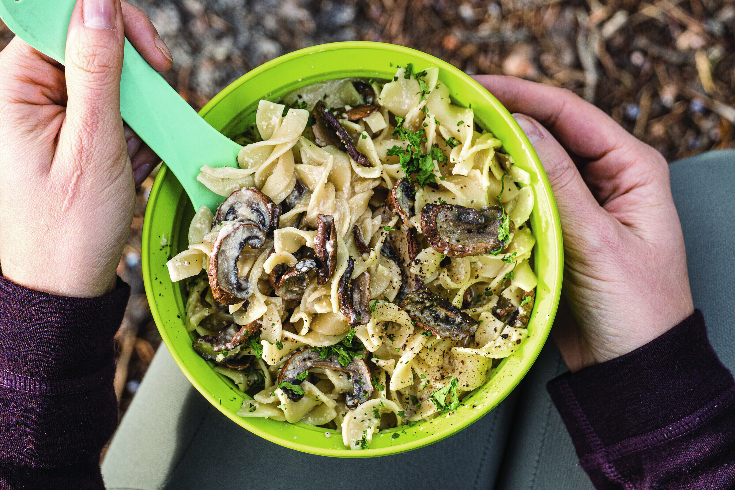 Vegan Mushroom Stroganoff