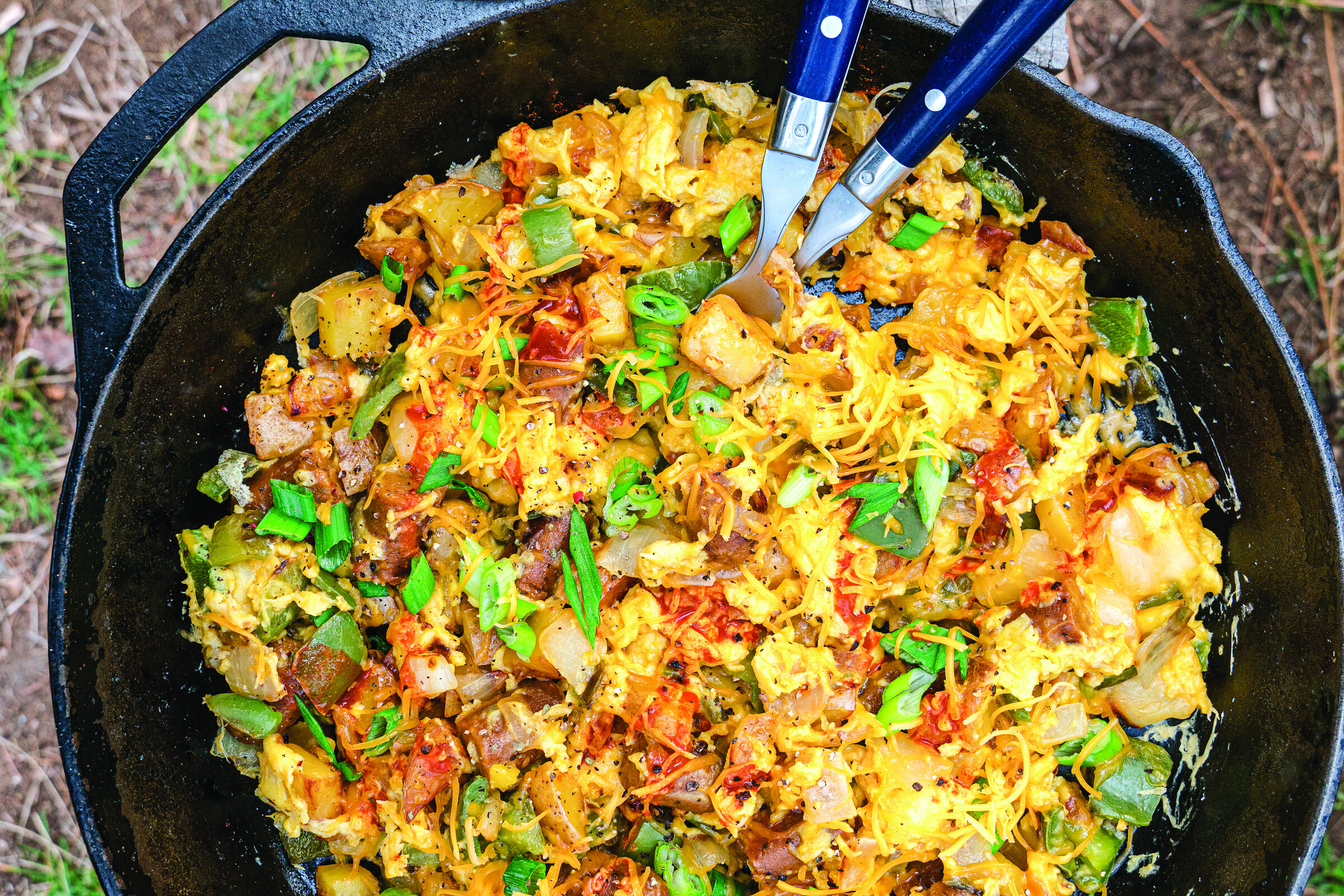 Mountain Skillet