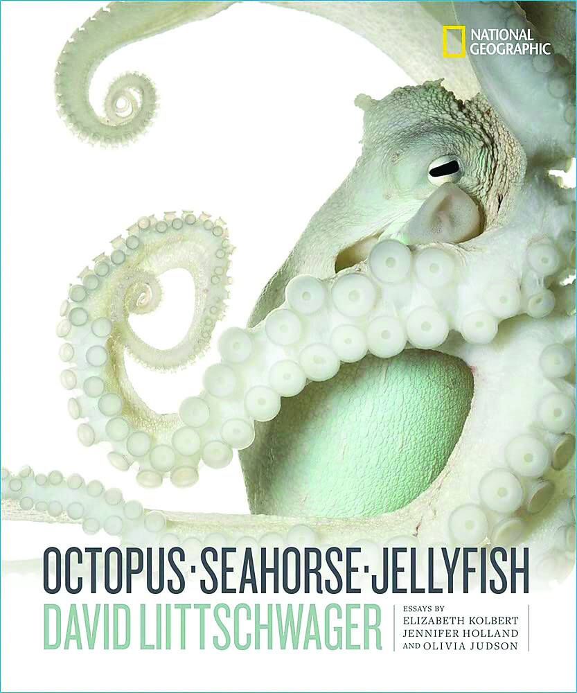Octopus, Seahorse, Jellyfish by David Liittschwager