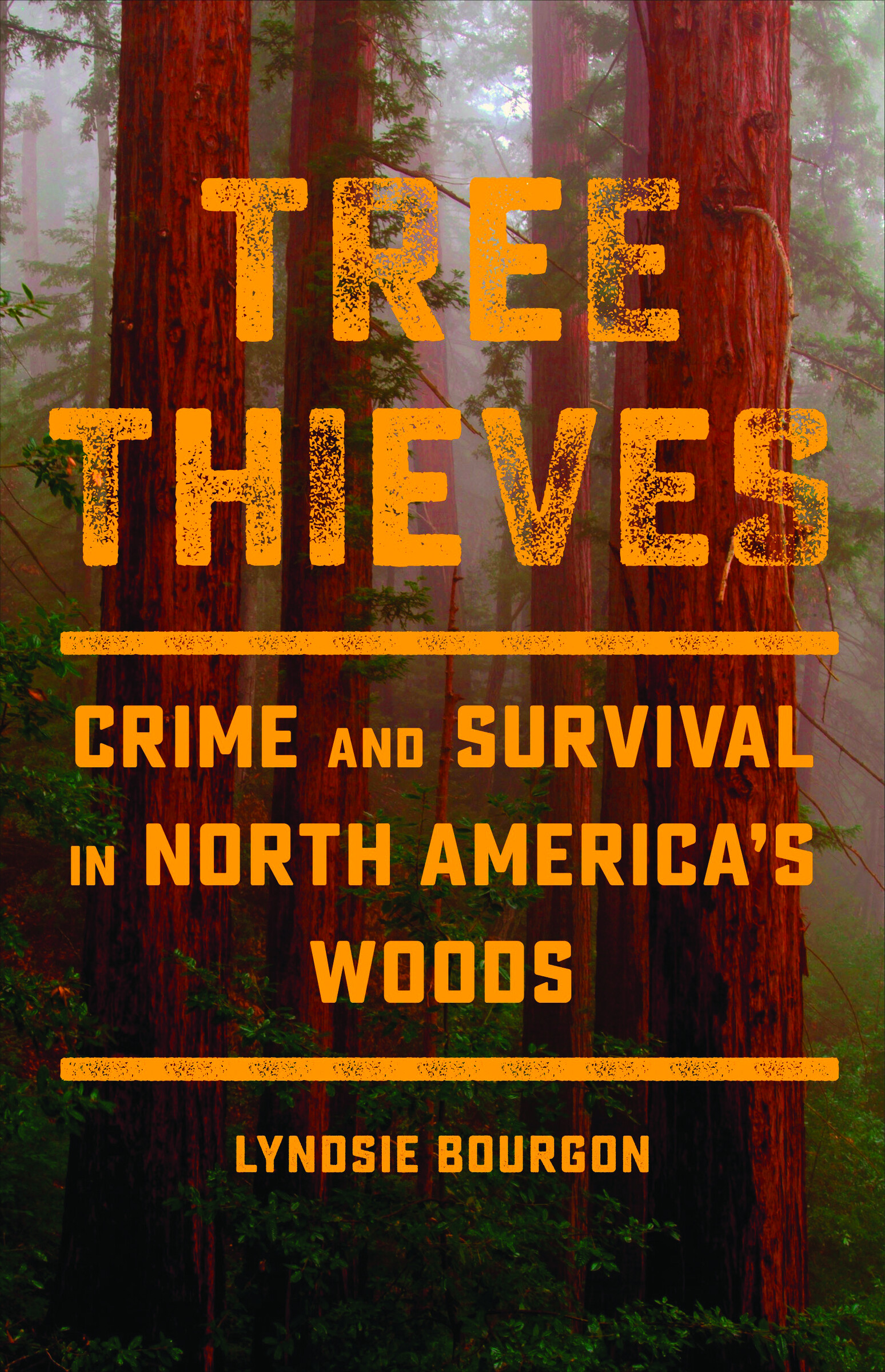 Tree Thieves by Lyndsie Bourgon