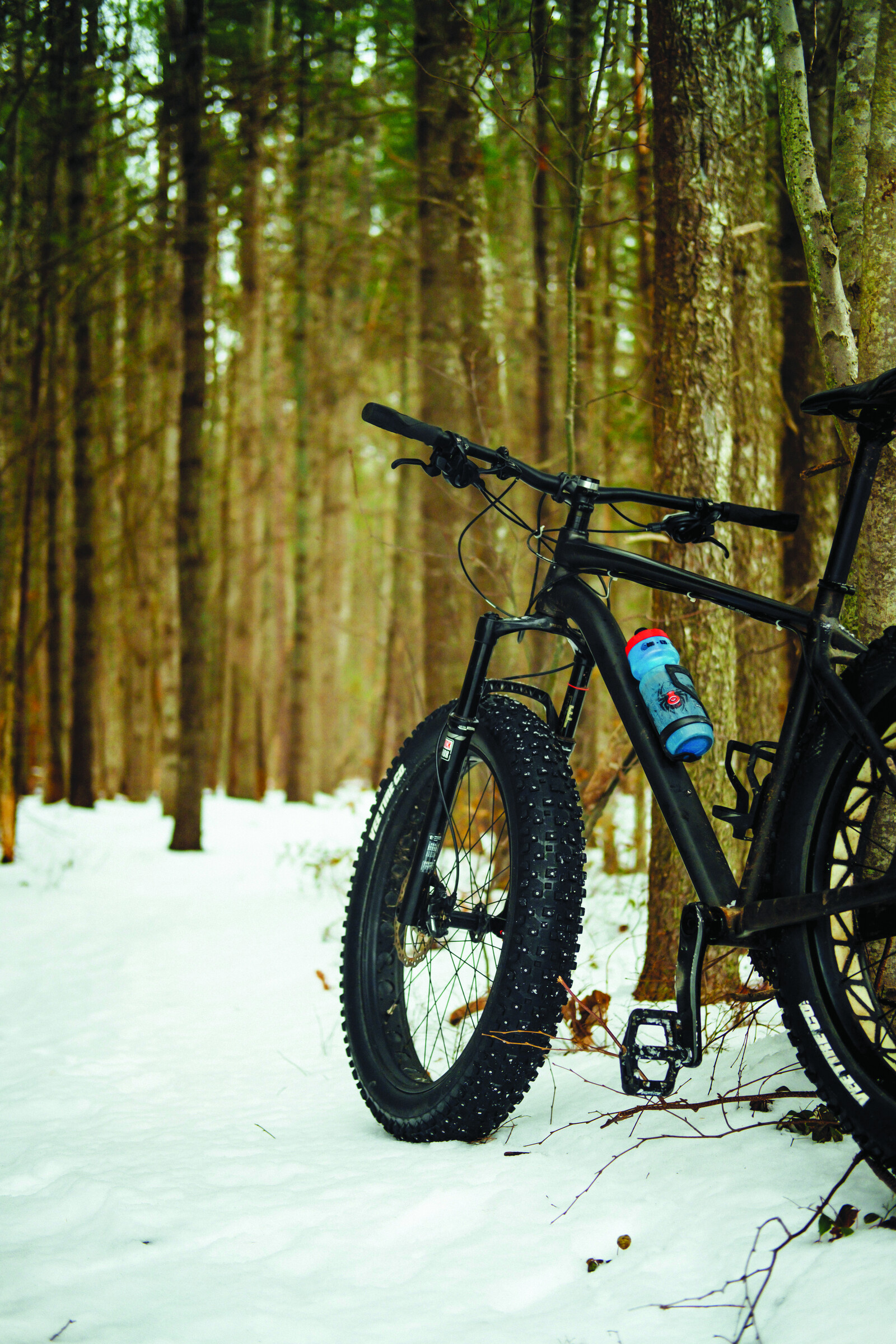 Fat bike rider in snowy forest
