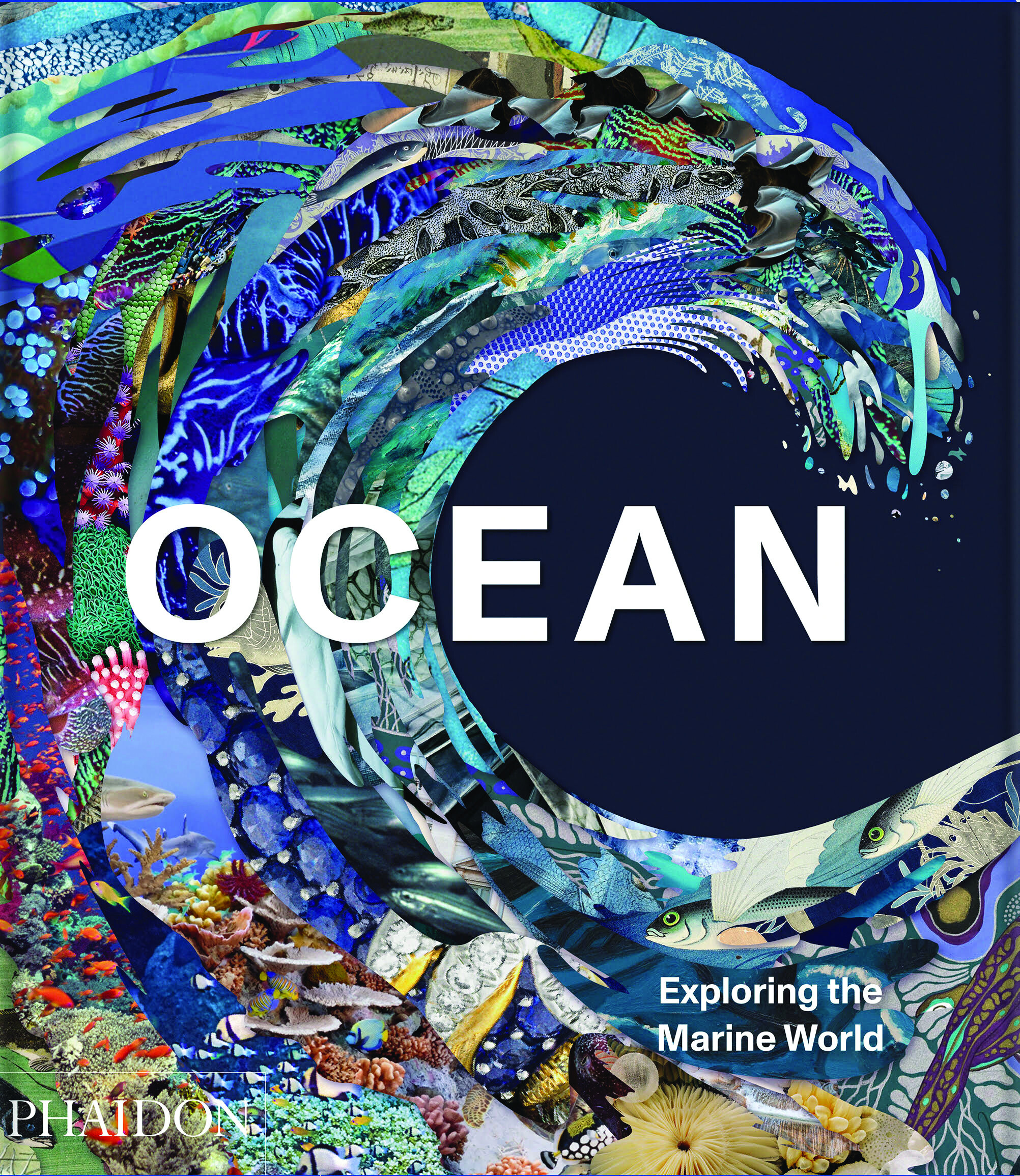 Ocean: Exploring the Marine World