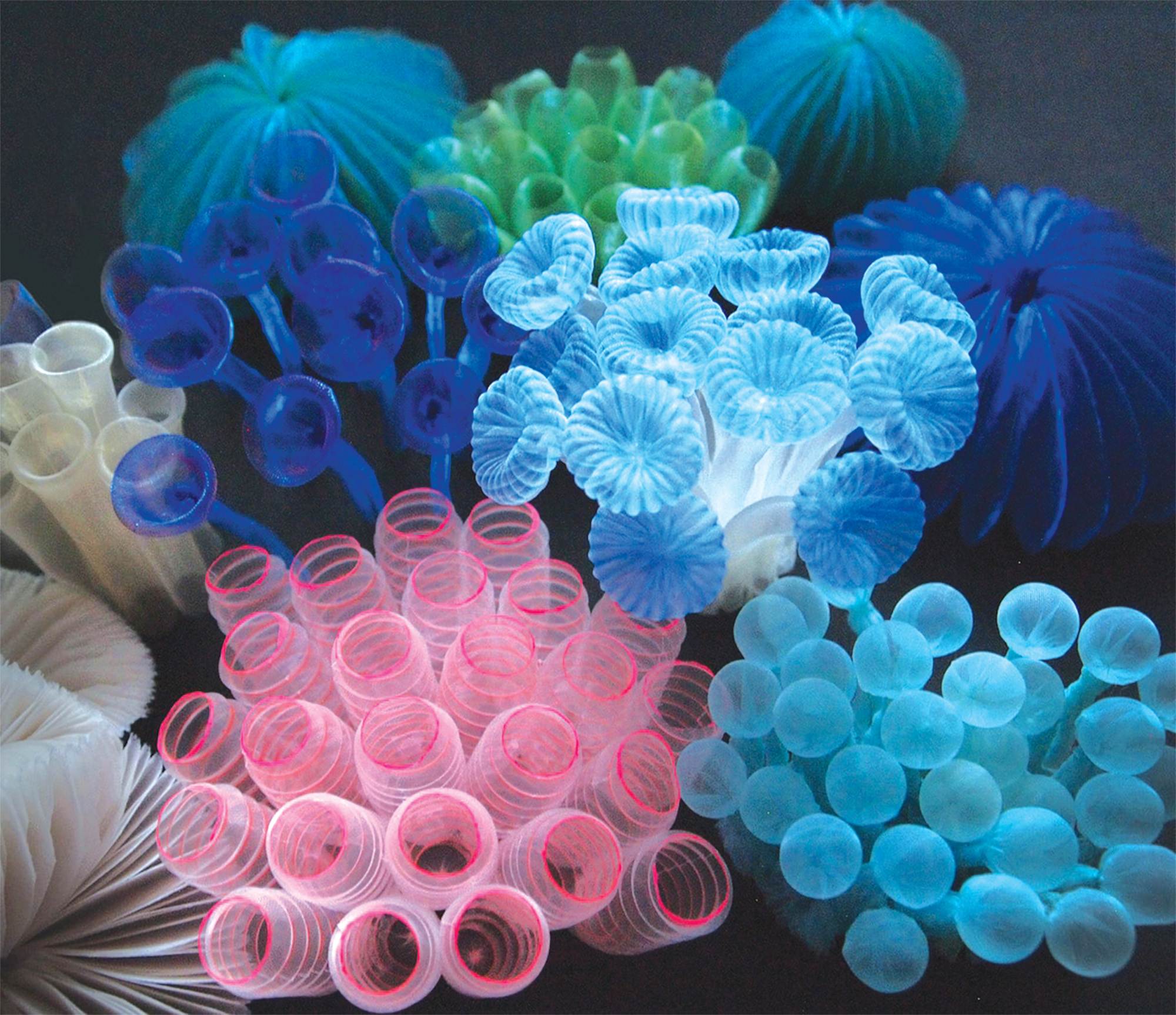 Fabric sea creature sculpture by Mariko Kusumoto