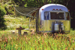 Weekend Cabin: Solstice ’Stream