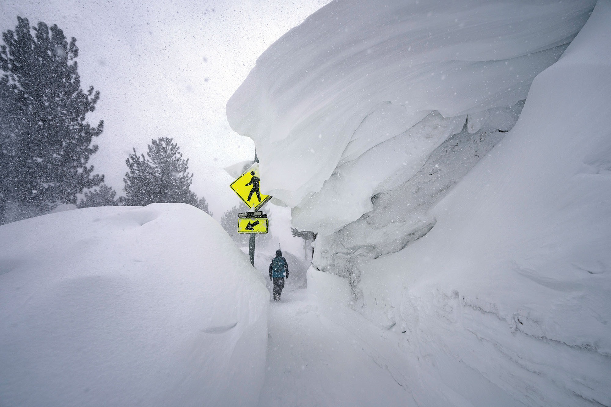Portfolio: Mammoth Winter