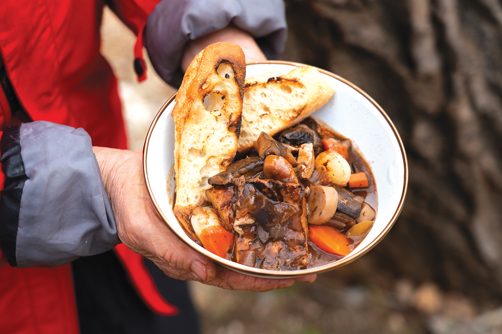 Mushroom Bourguignon in a Dutch oven
