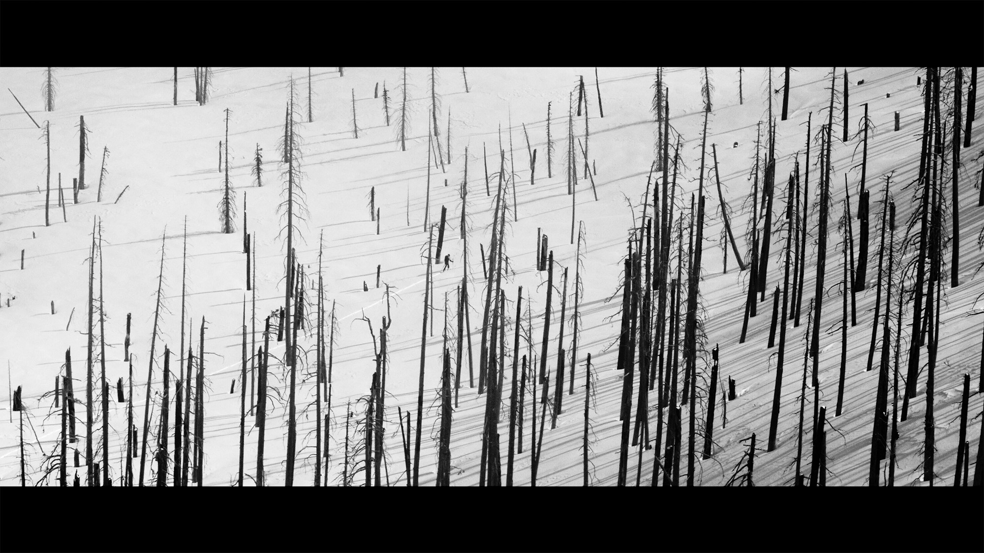 The Blackcountry Journal's backcountry