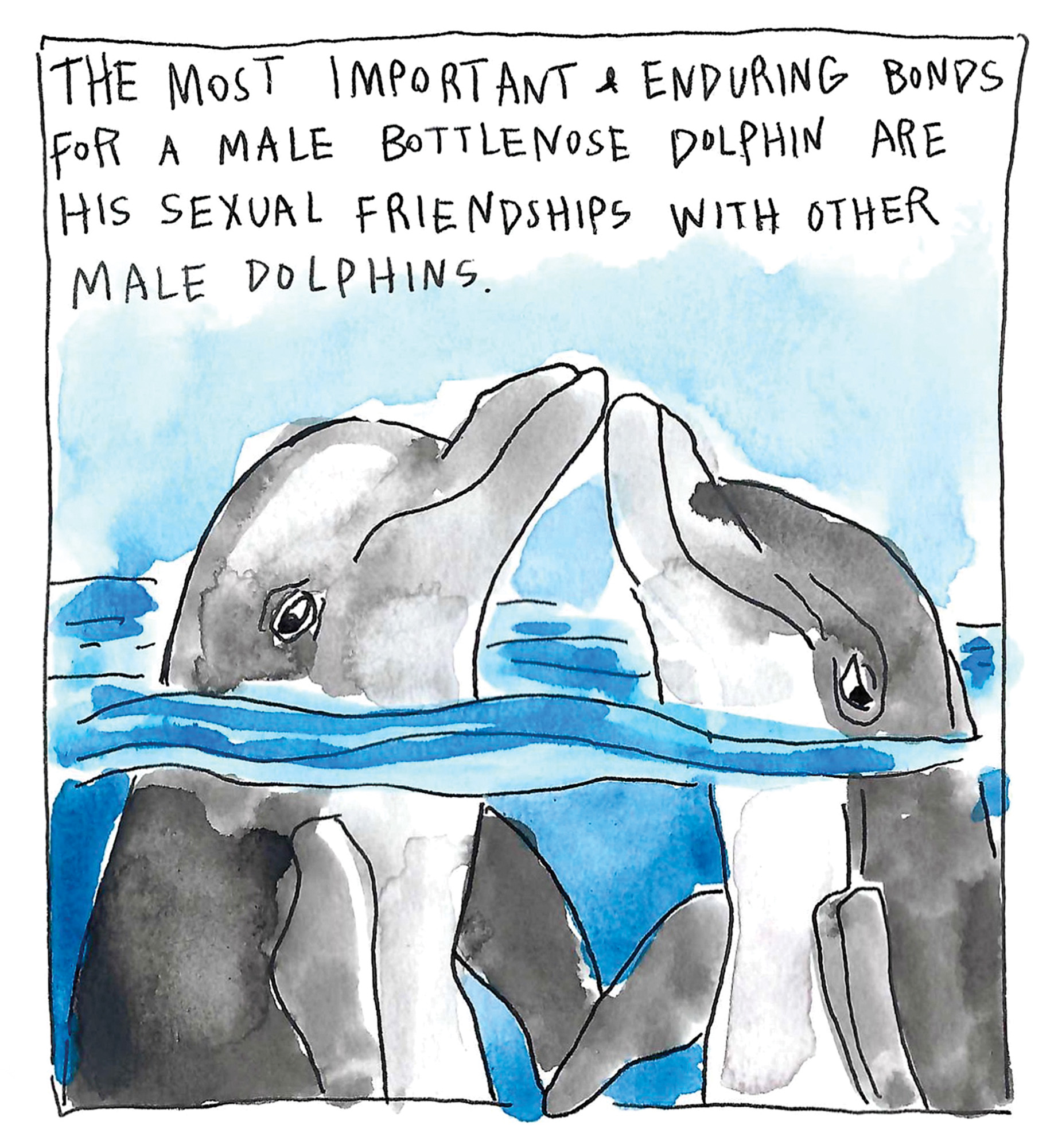 Panel from The Most Manly Nature, a watercolor comic about gay dolphins