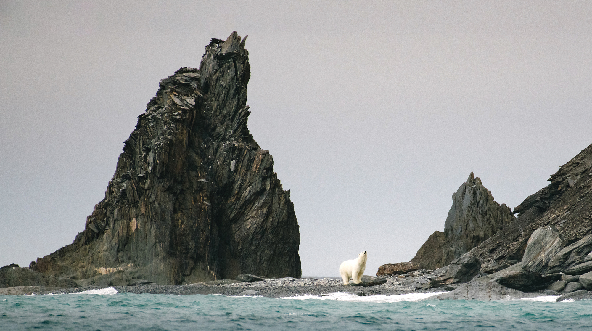 Waiting for the return of the sea ice, Herald Island, Russia, 2019