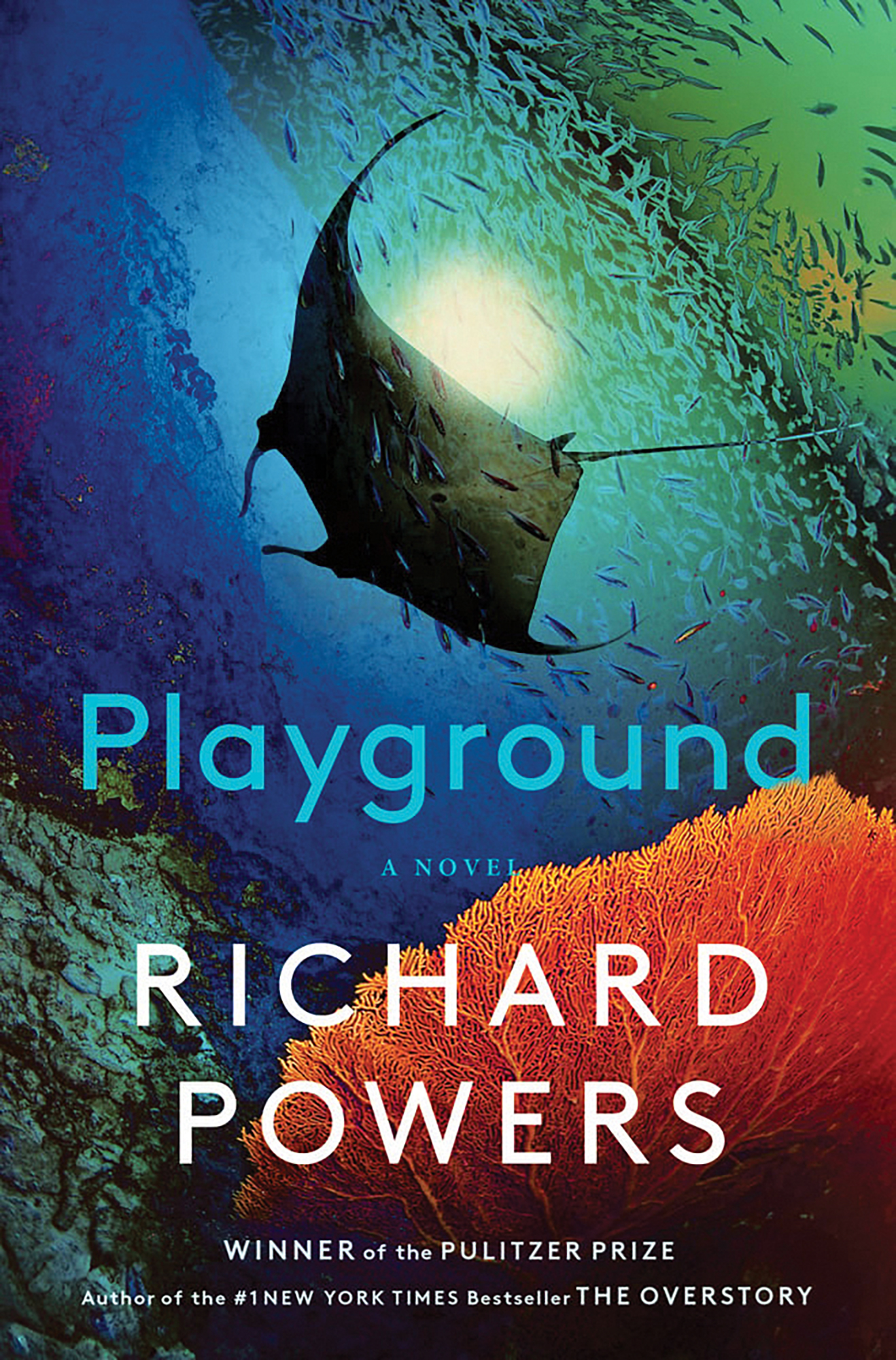 Playground by Richard Powers