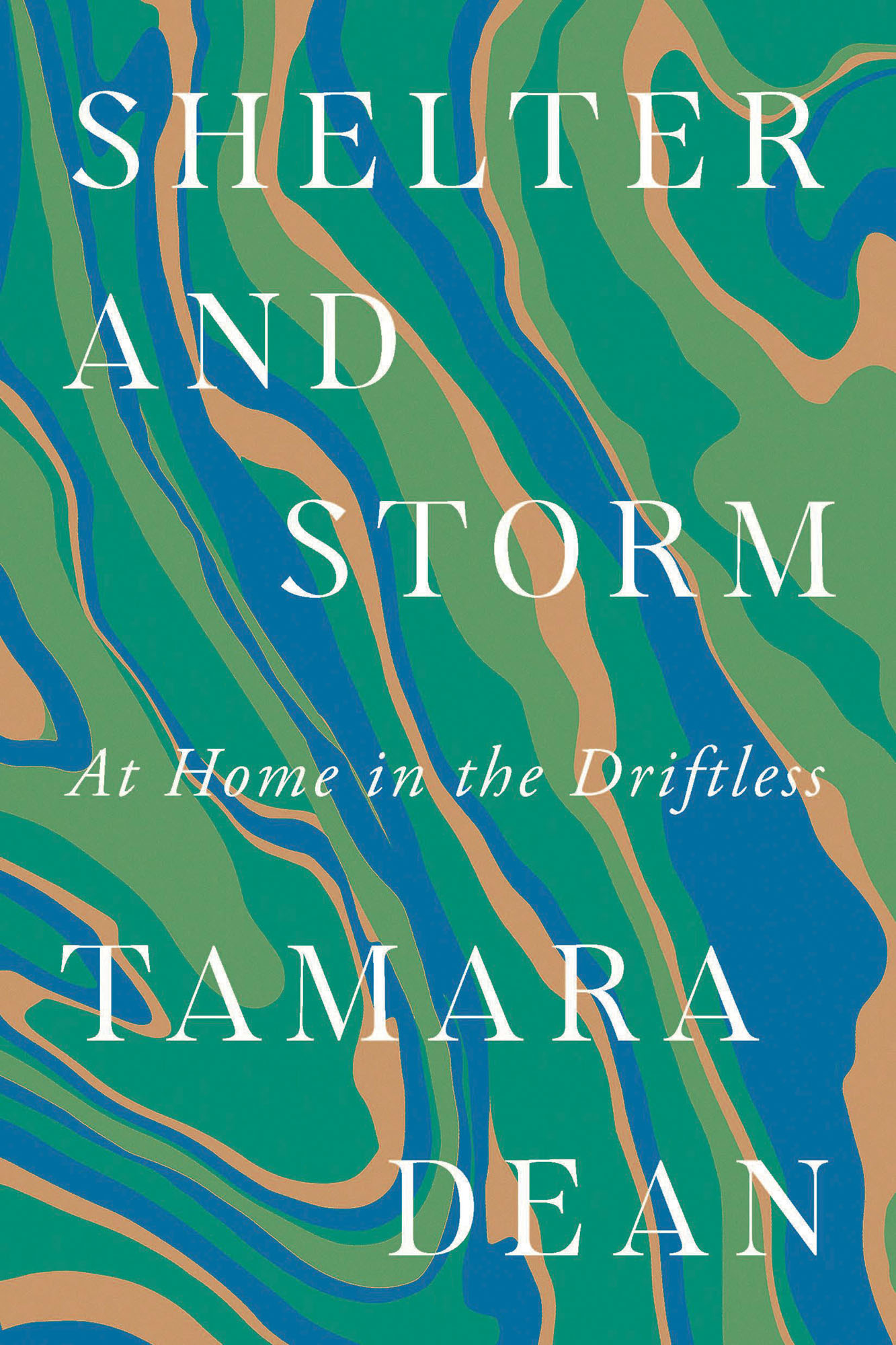 Shelter and Storm by Tamara Dean
