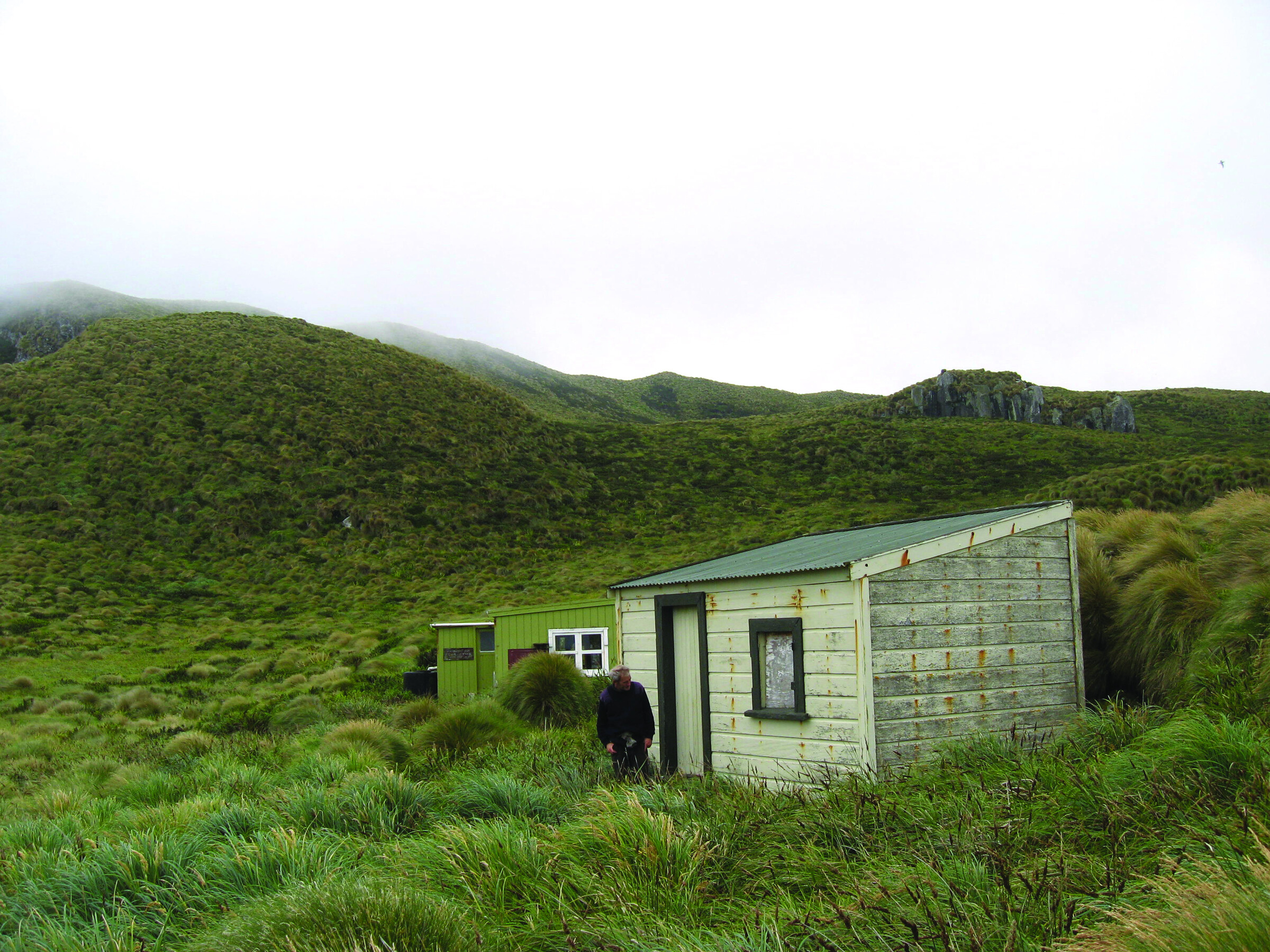 Castaway depot on Antipodes Island