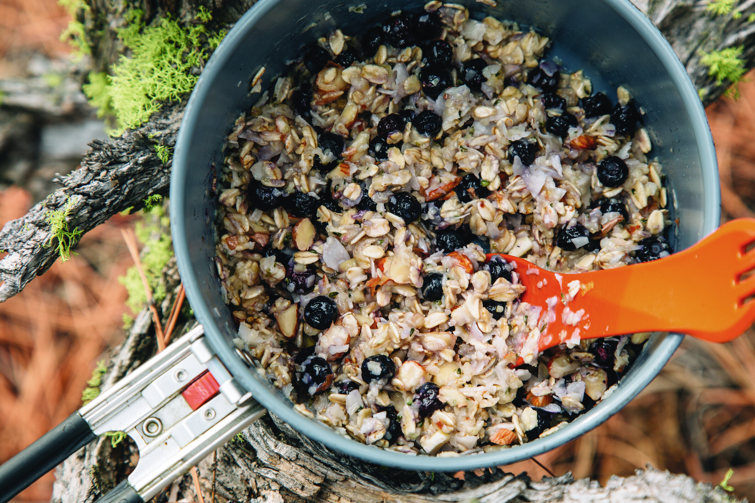 Blueberry Coconut Oats
