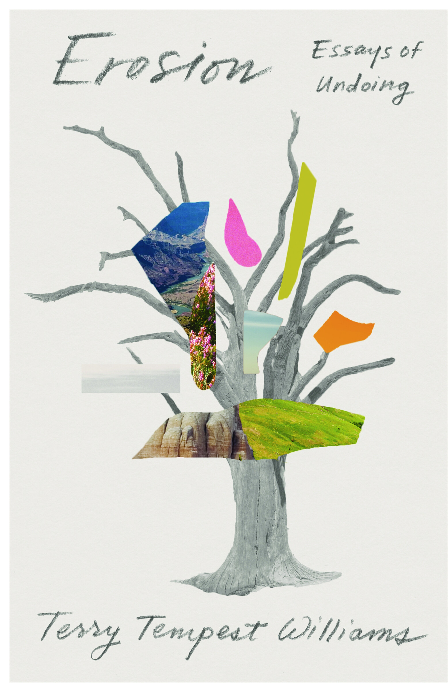 Erosion: Essays of Undoing by Terry Tempest Williams