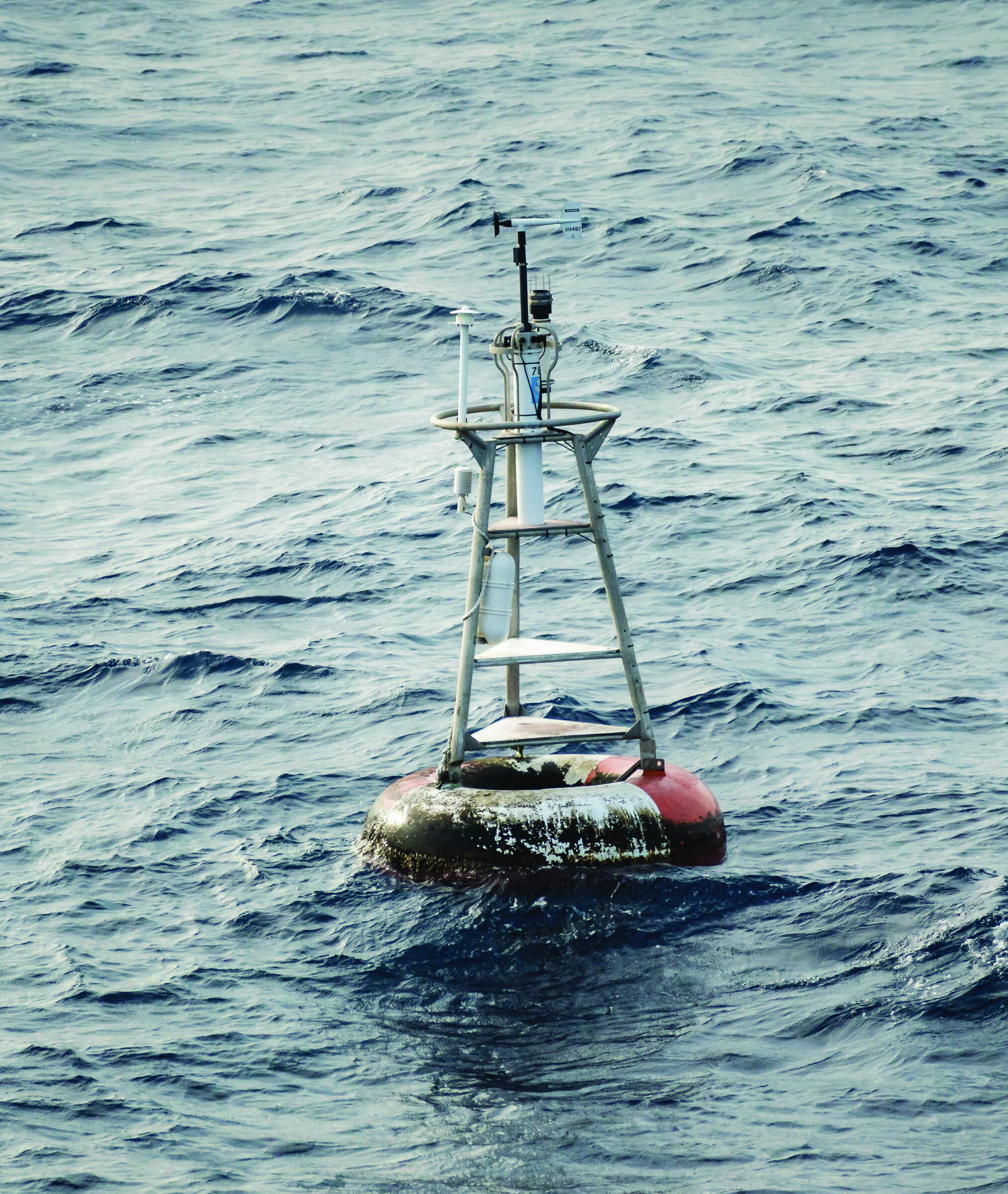 Null Island flag and weather buoy