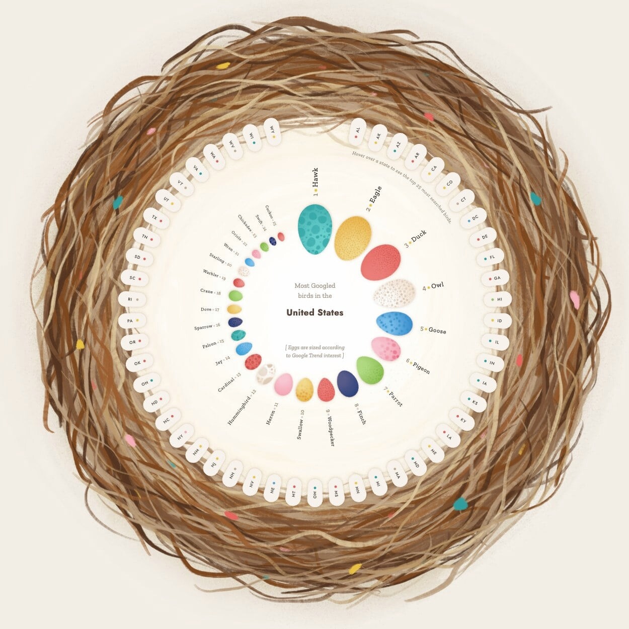Data visualization of most-searched bird types shown as colored eggs in a woven nest