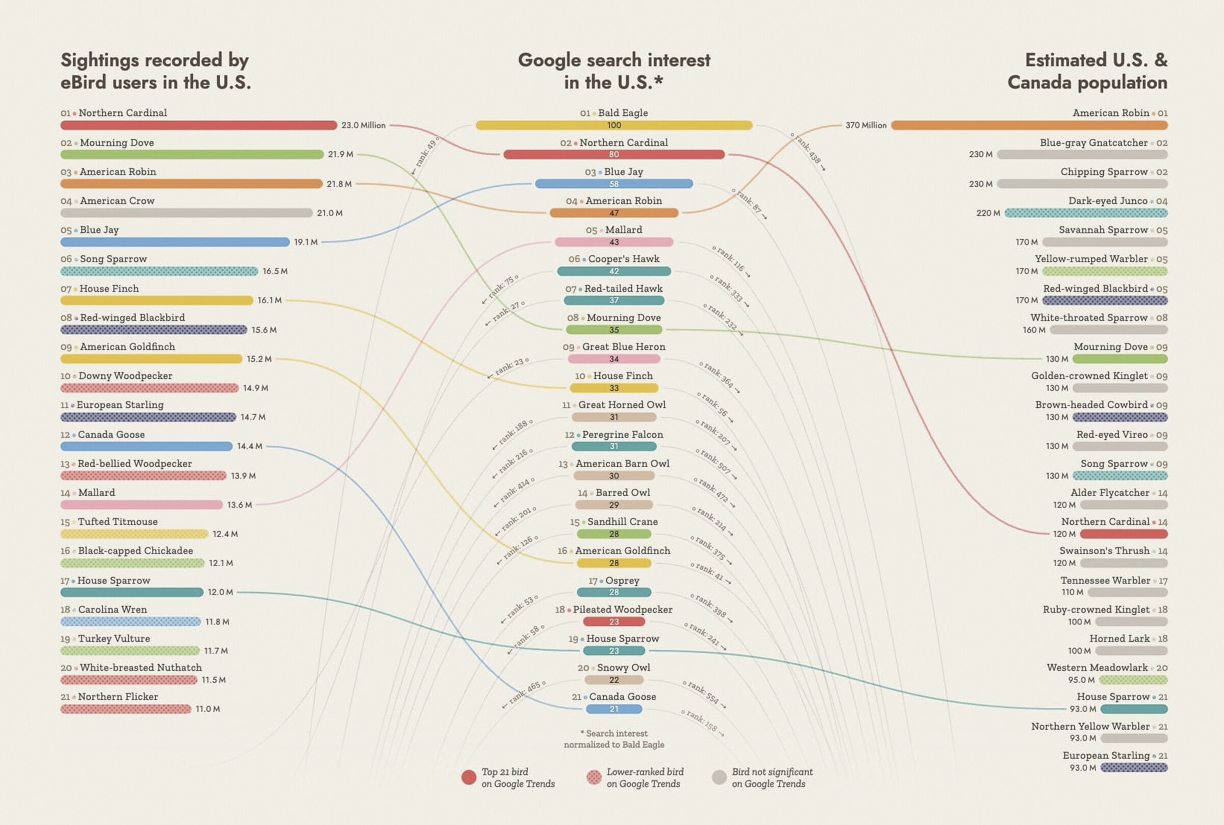 Connection chart comparing sighted birds, searched birds, and population counts