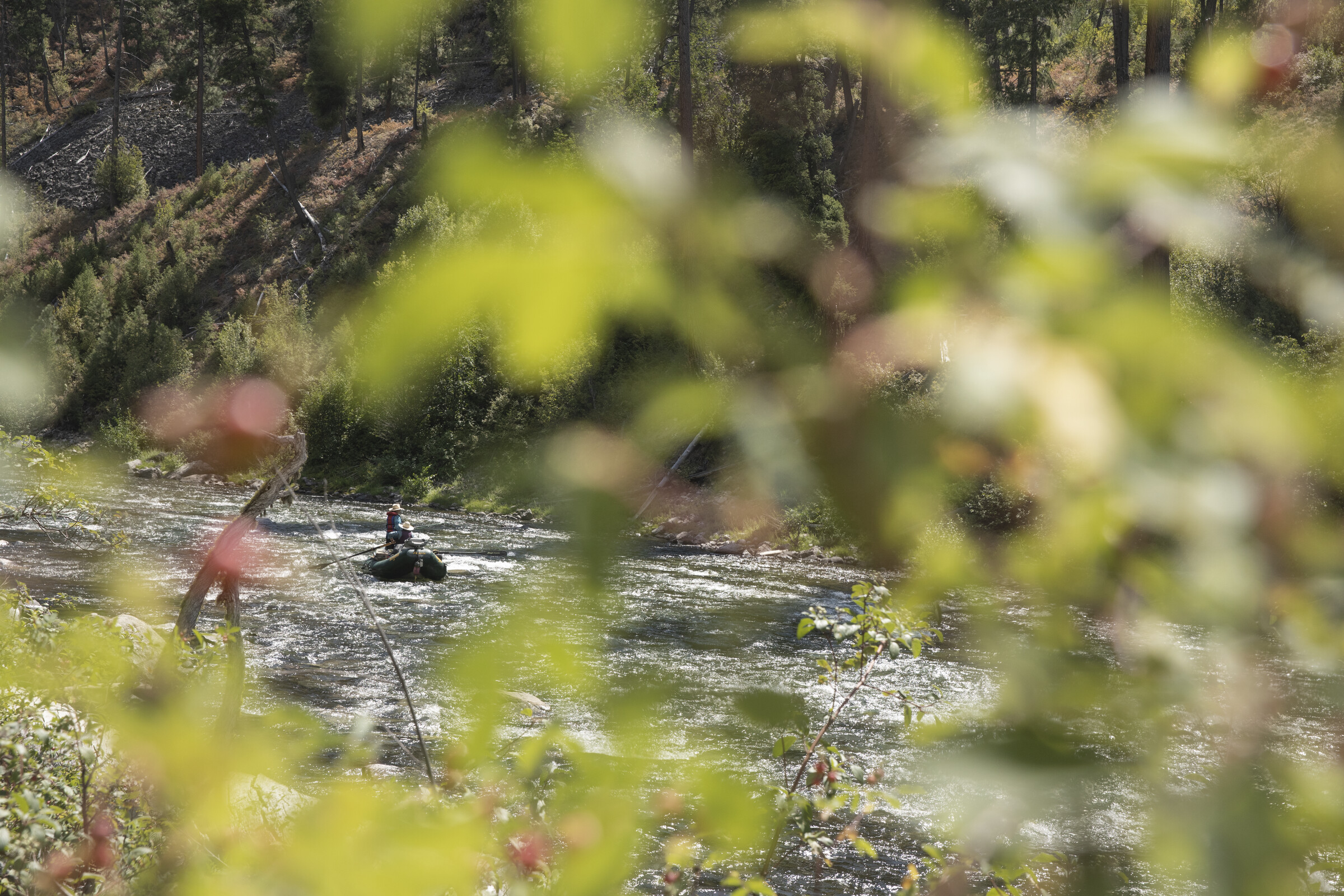 Summer on the River