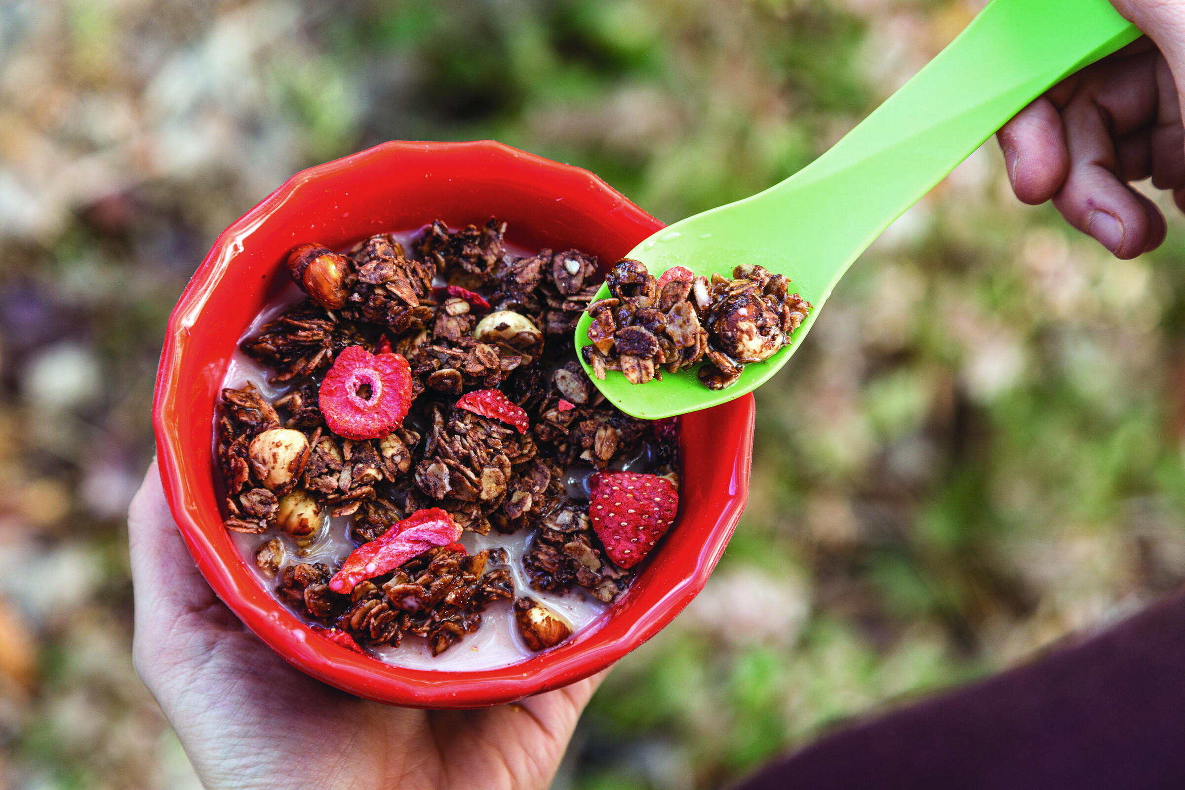 Chocolate Hazelnut Granola