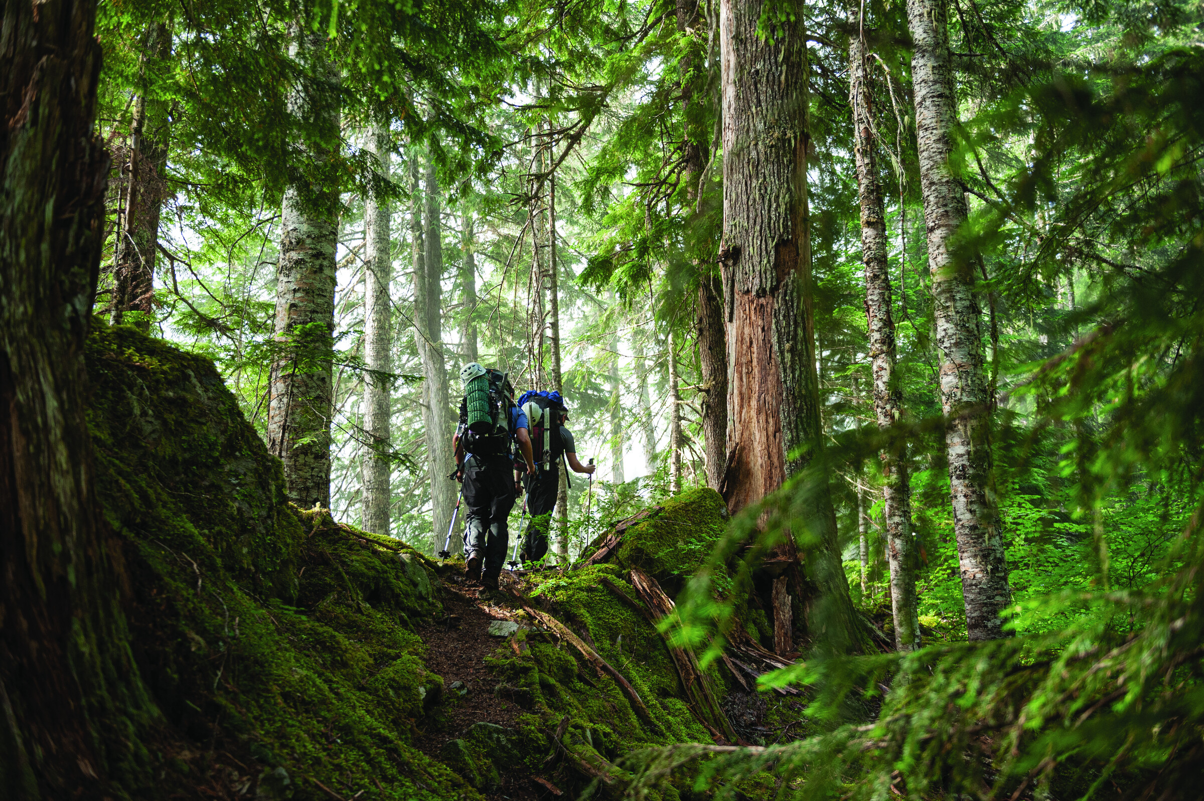 Rethinking Leave No Trace