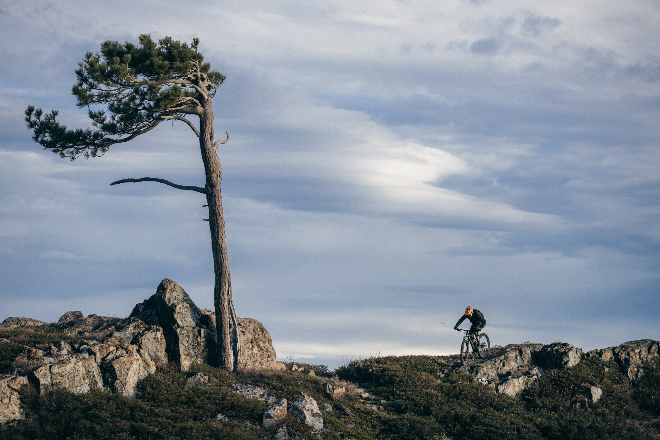 The Wilderness Ideal