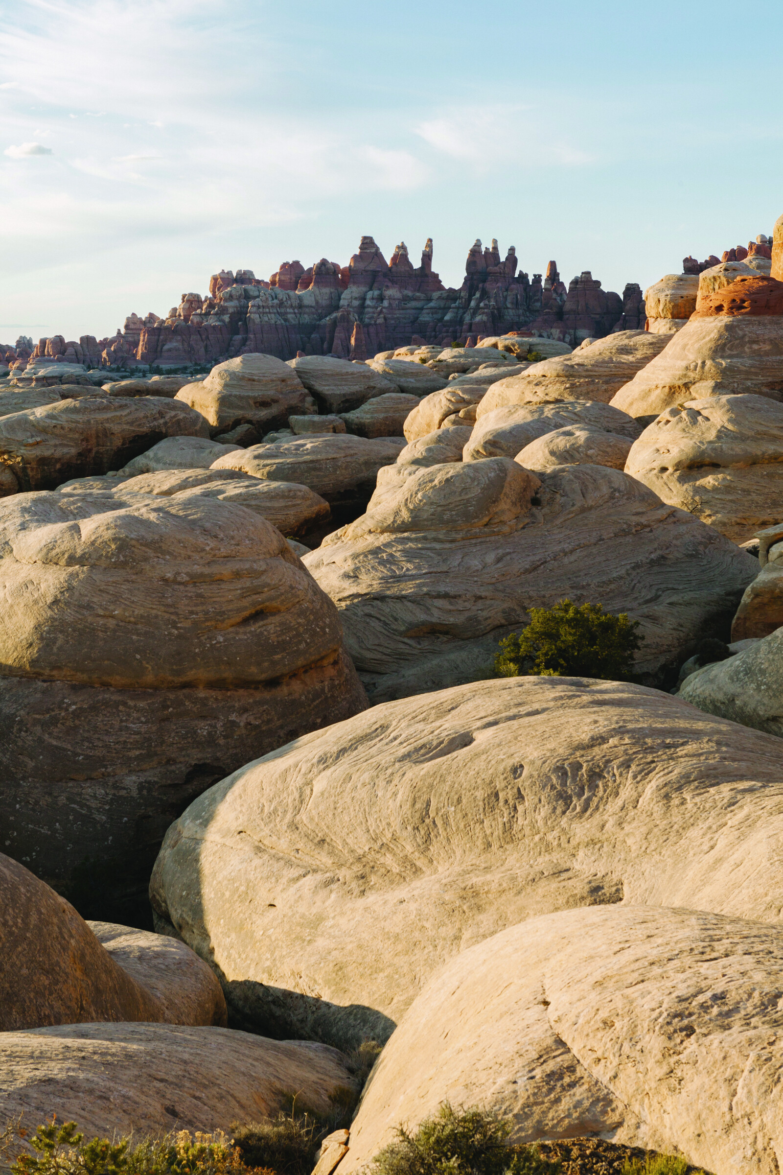 A redrock landscape in Canyonlands National Park