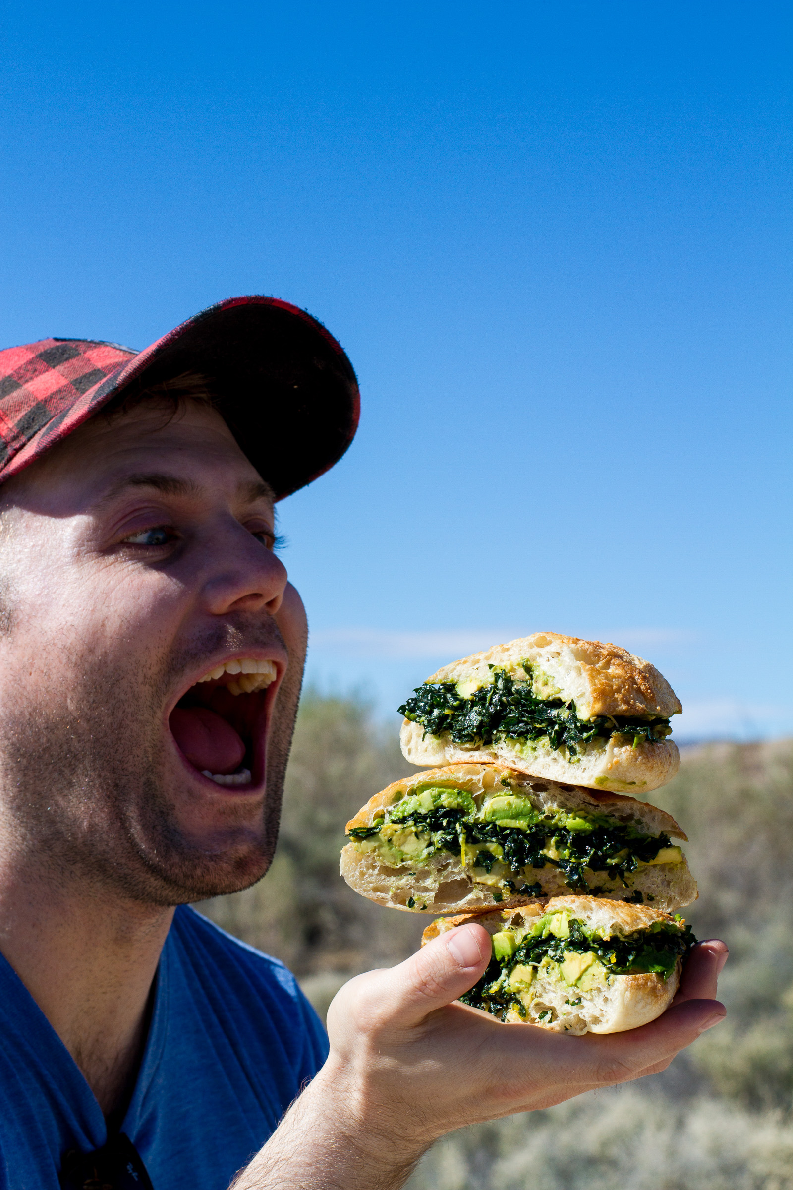 Lemony Kale and Avocado Sandwich