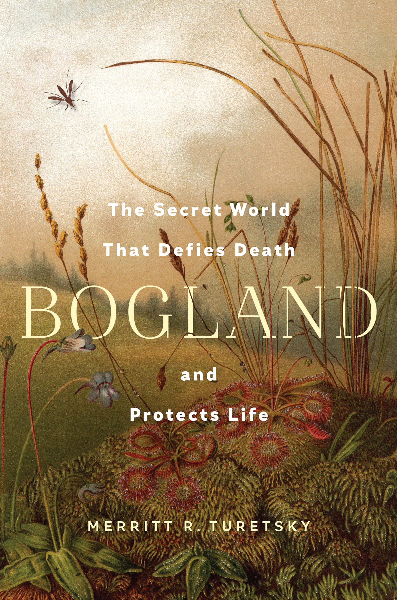 Bogland by Merritt R. Turetsky